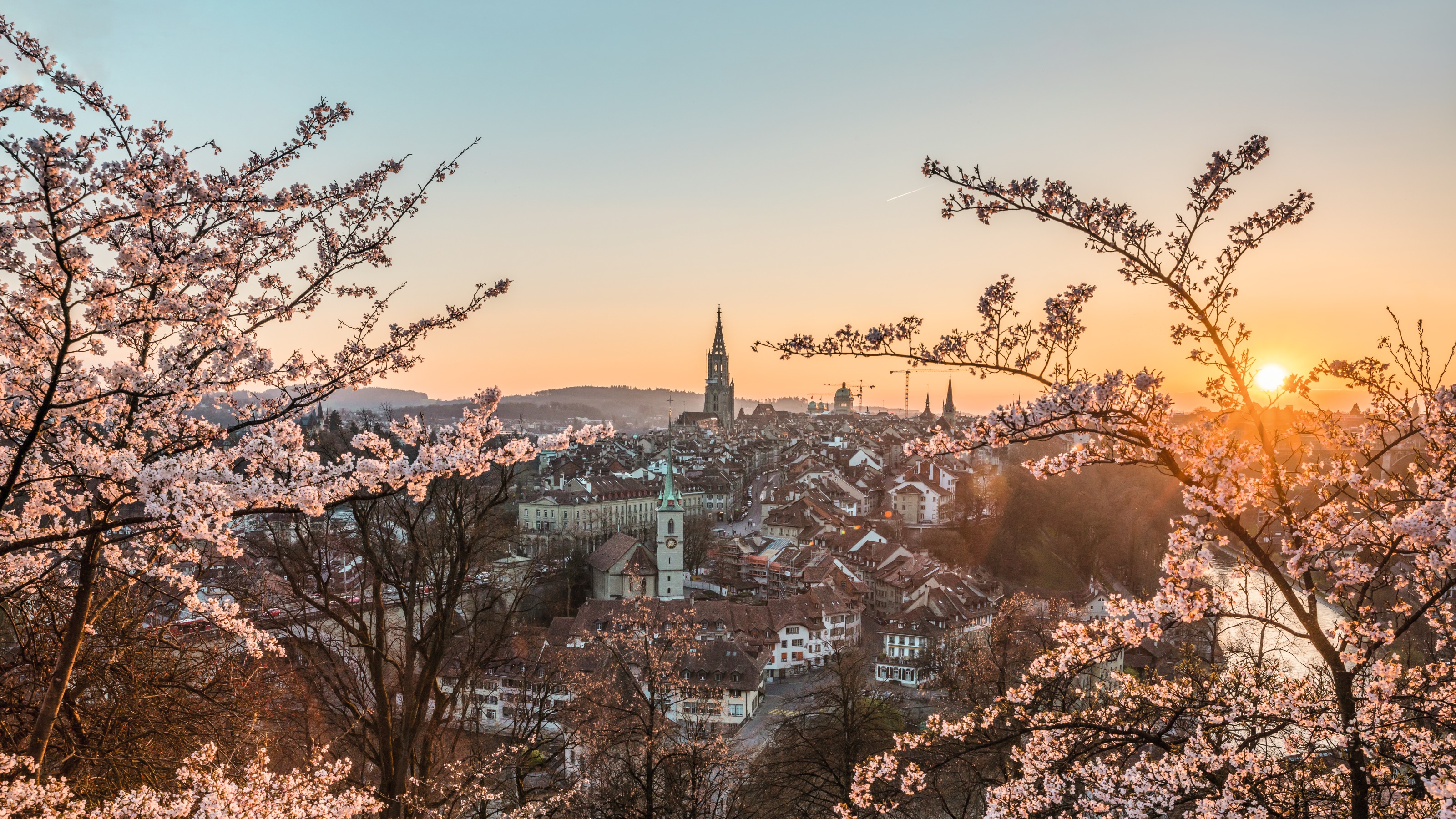 Spring_Bern_Kirschblüte